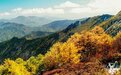 满山红叶揽云海 五大主题线路带你秋赏宝鸡