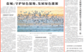 央媒点赞!盐城:守护绿色湿地,发展绿色能源