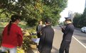 秋来桂花香满城,请君争做文明人