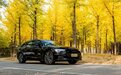 优雅格调的代名词,试驾2023款奥迪A6 Avant
