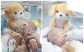 世所罕见 时隔22年再遇联体婴!姐姐妹妹在浙大儿院成功“分身”