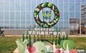 第四届邢台国际十字花科蔬菜产业大会11月3日开幕