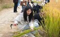 从“校园”走向“田园” 苏州城市学院上好劳动教育必修课 推进实践育人走深走实