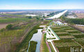 河北廊坊安次区：人工湿地变身河道“净水器”