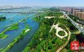 临沂市沂河新区:乘势而上打造临沂未来经济发展主引擎