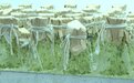 白银会宁用“芯”做“薯文章” 走出产业新路子