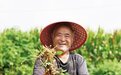 江苏:苏南苏北共繁荣