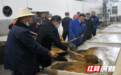 隆回县山界回族乡:“蔗”里糖真甜!