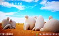 观国际创作营作品“晌午” 体验戈壁的壮阔