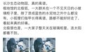 长沙生态动物园北极狐指甲过长影响走路?回应来了