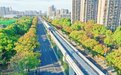 紧急通知！事关芜湖单轨