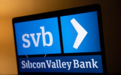 硅谷银行48小时“死亡录”:爆雷、挤兑、破产,一场风投行业的自食其果?