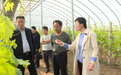 菏泽：农业专家送技术到田间 助力乡村特色产业发展