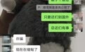 表兄弟赴缅甸失联近两月 曾告诉家属被监控着