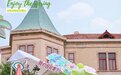 青岛市市南区:老城拾趣,赴一场春光之旅