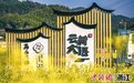 奉化春日见闻:游客“赶集”尽享乡村好风景