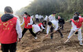 庐江县龙桥镇中心学校开展播种玉米劳动实践活动