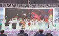 临海:“茶叶”变“金叶” 茶园走出绿色共富新模式
