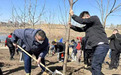 吉林省市各界青少年共植“青年林”暨义务植树活动举办