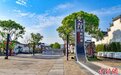 浙江文旅观察：今天我们为什么要纪念艾青？