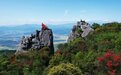 江西蓮花縣漫山杜鵑花開