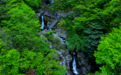5月19日“中国旅游日” 免费畅游西九华山!