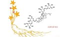 Aneoktur奥尼康健人参皂苷，提升抵抗力