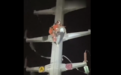 紧急救援！滁州一男子爬高压线掏鸟窝遭电击被困