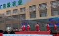 长春市农安县：香瓜开启致富“加速度”