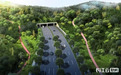 首条!武汉新建市政道路专设小动物通道