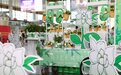 邮储银行南京市分行“栀子花开 端午节来”活动——让花香飘满南京城