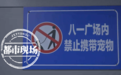 为期三个月!南昌整治不文明养犬 八一广场全天候禁止犬只入内