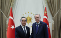 土耳其总统埃尔多安会见王毅:土方不支持北约在亚太地区加强活动
