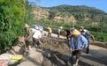 庄浪这地全力抢修水毁道路 确保群众出行安全
