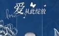 欧拉携手“天才妈妈”公益项目、凤凰网 ,共同打造“天才妈妈绽放计划”