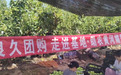 良久团购:走进基地·助农黄河媚梨