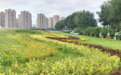 长春市绿园区园林管理中心打造“西部城市会客厅”