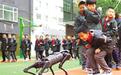 兰州非学科类培训清单引热议 哪种才能培养孩子兴趣