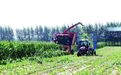 政府推动 企业带动 政策联动——公主岭市鲜食玉米产业观察