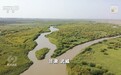 "沙漠明珠"干涸半世纪后复活 中国治水经验引国际关注