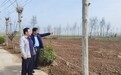 济南市商河县许商街道:精准监督 多措并举保护耕地