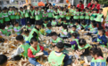 河南沁阳：幼儿园里的“丰收节”