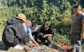 湖北利川发现百余处古生物化石聚集地