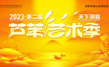 11月25日!2023第二届天下洞庭芦苇艺术季启幕