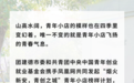 建德17young·青年小店很多样丨新业态青年小店集锦