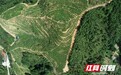 绿色优质农产品达4033个 湖南用“绿色”丰富乡村振兴“菜单”