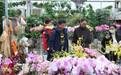潍坊:花卉市场迎来销售旺季 美丽经济绽放