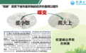 杜欢政:从零废弃到无废城市——中国绿色转型|第十届零废弃论坛
