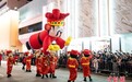 春节初一至初七逾130万人次访港 内地游客占近九成