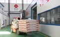 黑龙江黑河：发展大豆产业 大豆变“金豆”